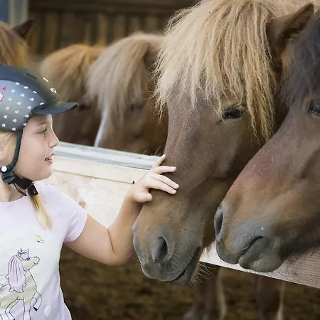 酒店 Reitzentrum Hausruckhof E U 昂弗旺-因豪斯霍克