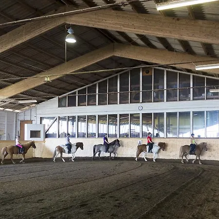 Reitzentrum Hausruckhof E U ホテル Ampflwang im Hausruckwald