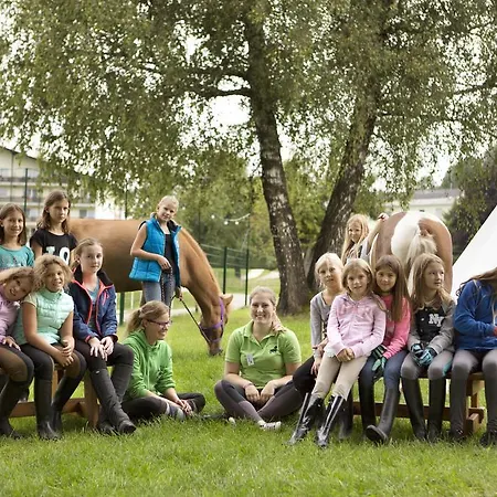 Reitzentrum Hausruckhof E U 酒店 昂弗旺-因豪斯霍克