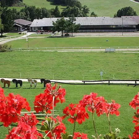 ホテル Reitzentrum Hausruckhof E U Ampflwang im Hausruckwald