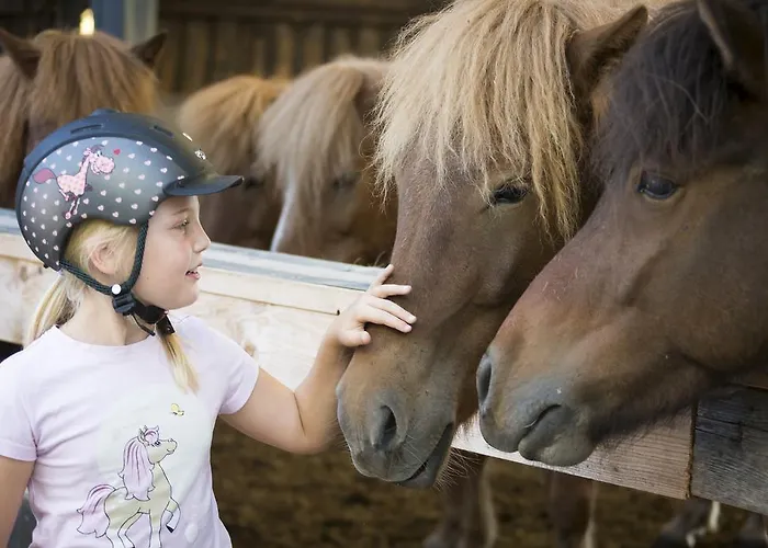 호텔 Reitzentrum Hausruckhof E U 앰플와임하우스룩왈드
