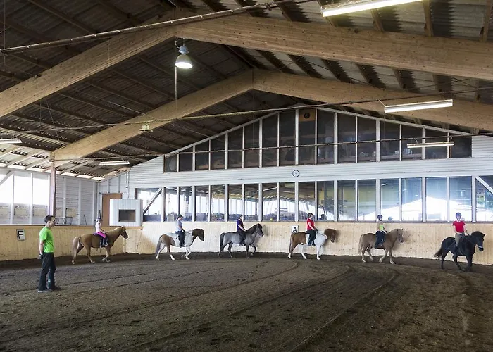 Reitzentrum Hausruckhof E U 호텔 앰플와임하우스룩왈드