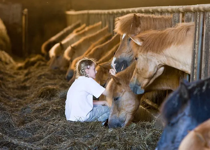 Otel Reitzentrum Hausruckhof E U 3*