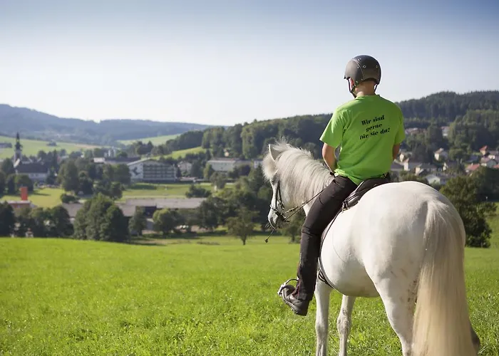 Otel Reitzentrum Hausruckhof E U 3*