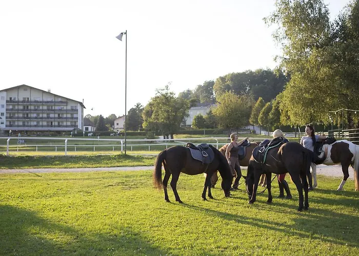 Reitzentrum Hausruckhof E U 앰플와임하우스룩왈드