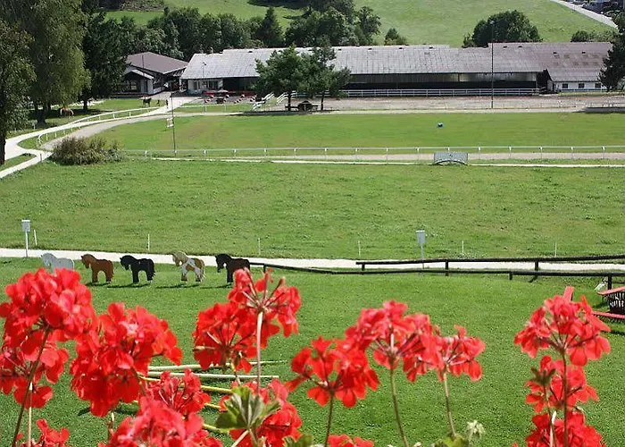 Otel Reitzentrum Hausruckhof E U Ampflwang im Hausruckwald