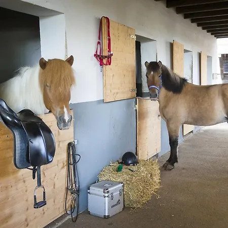 Reitzentrum Hausruckhof Ampflwang im Hausruckwald