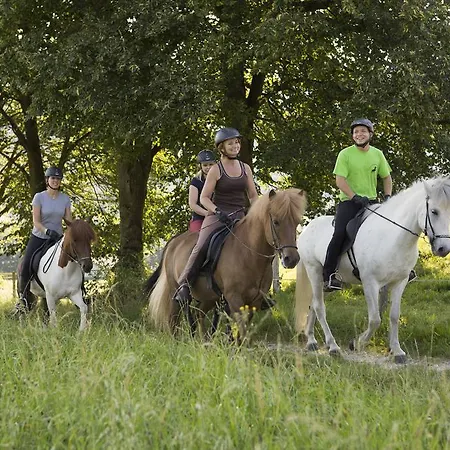 Reitzentrum Hausruckhof E U Szálloda Ampflwang im Hausruckwald