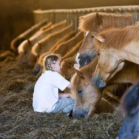 酒店 Reitzentrum Hausruckhof E U 3*