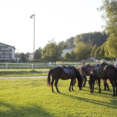 Reitzentrum Hausruckhof Ampflwang im Hausruckwald