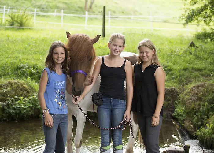 Reitzentrum Hausruckhof E U Otel