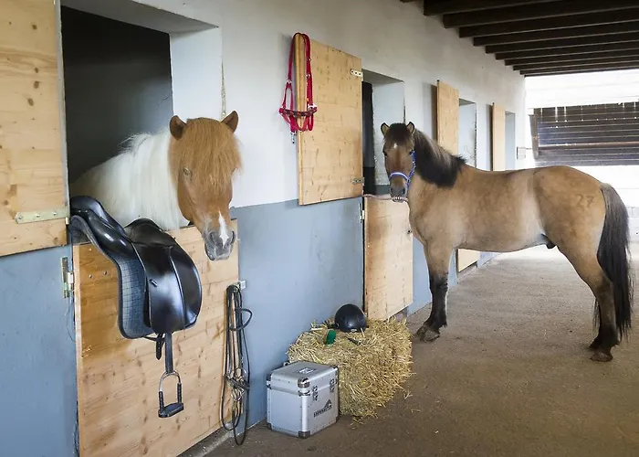 Reitzentrum Hausruckhof Ampflwang im Hausruckwald